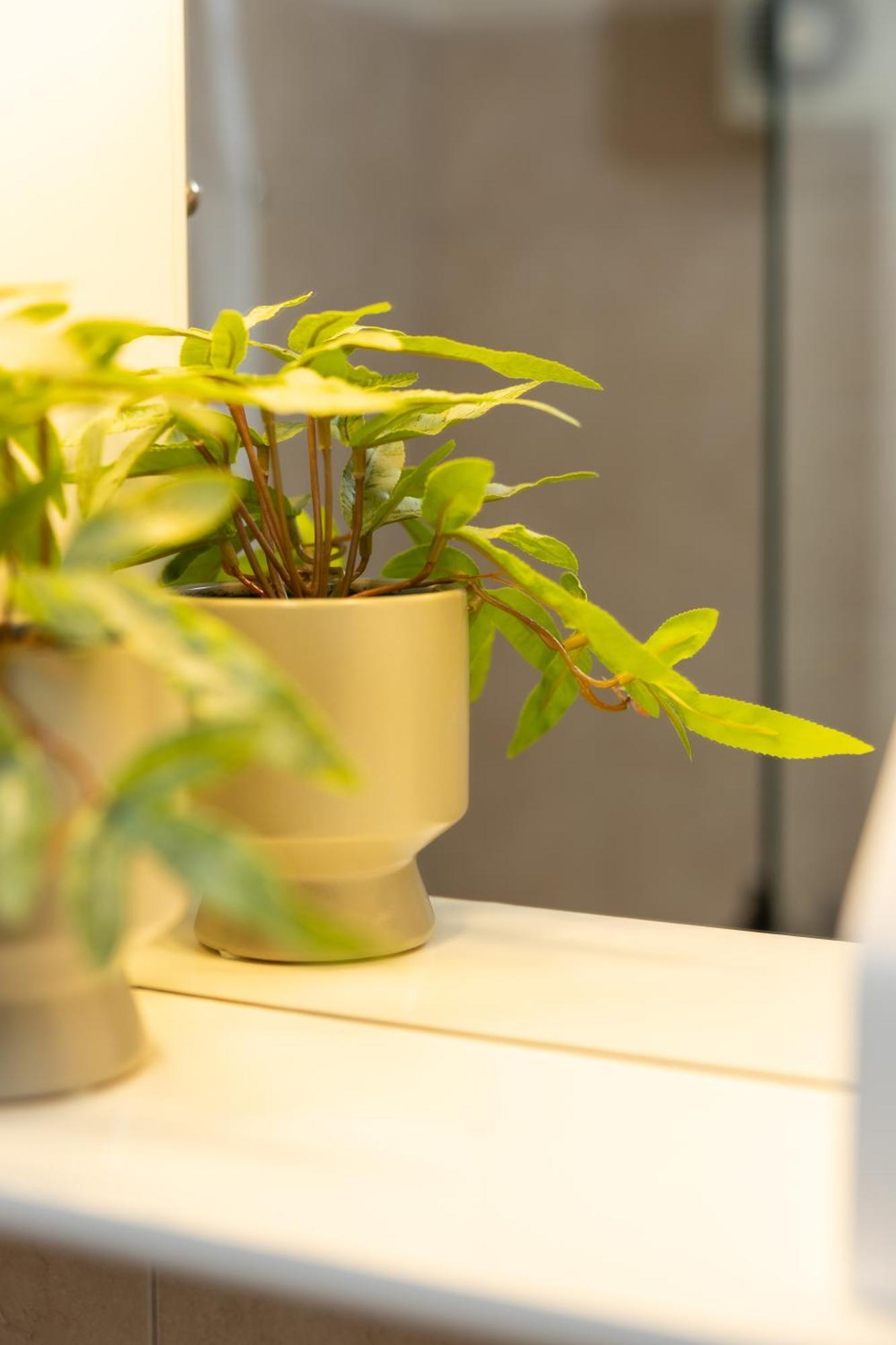 סלוניקי Urban Colors Apartments By Binobi! מראה חיצוני תמונה